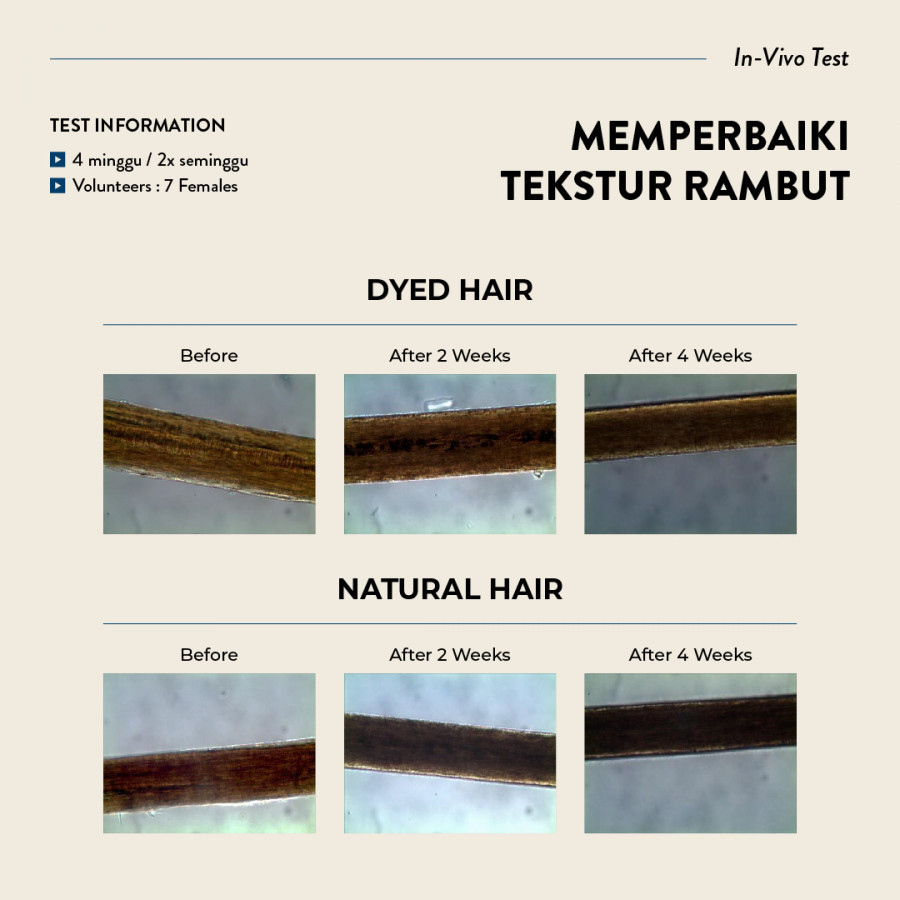 Eucalie Organic Hair & Scalp Treatment Oil – Power 10+ (RESTORE)
