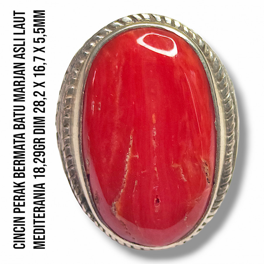 Cincin Perak Bermata Batu Marjan Corallium Rubrum Asli Laut Mediterania 18,29 Gram elsubha.com