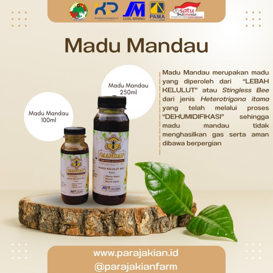 Madu Mandau 100 ml