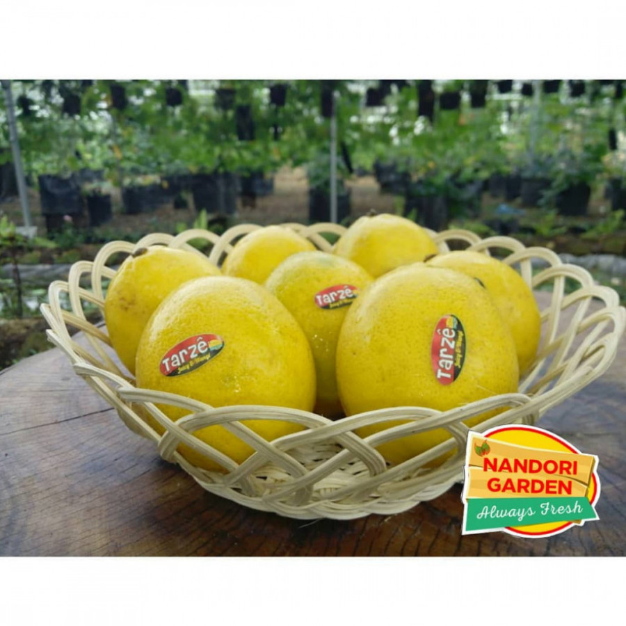 Lemon California Lokal Kuning