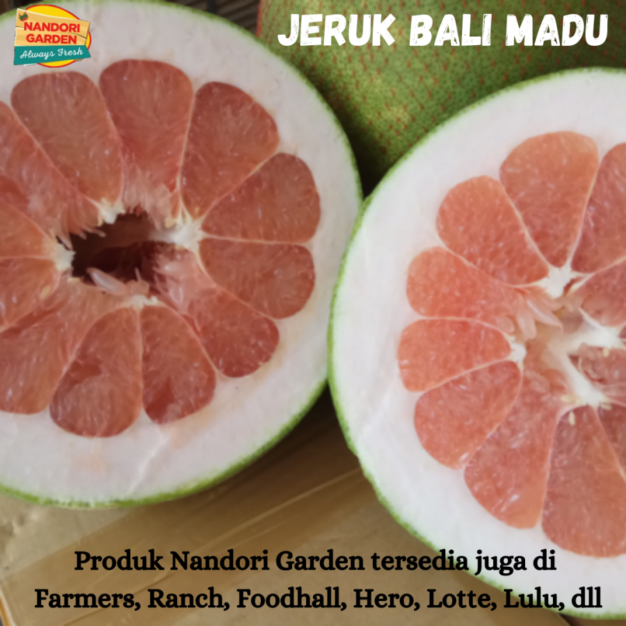 Jeruk Bali Madu L