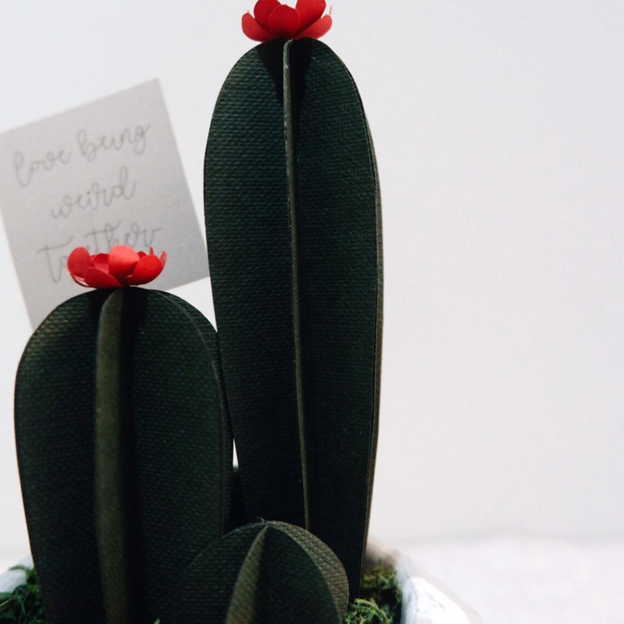 Cacti Buddies - Kaktus Kertas