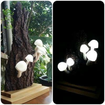 lampu-jamur