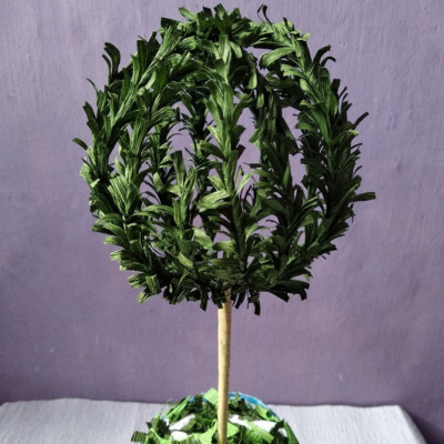 rosemary-topiary