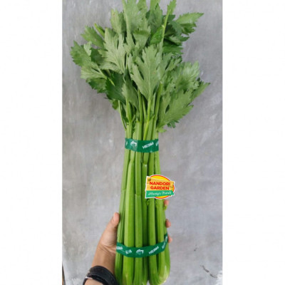 celery-stick