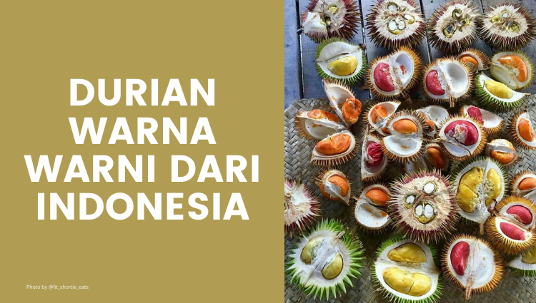 Kenali Durian Warna Warni Asal Indonesia!